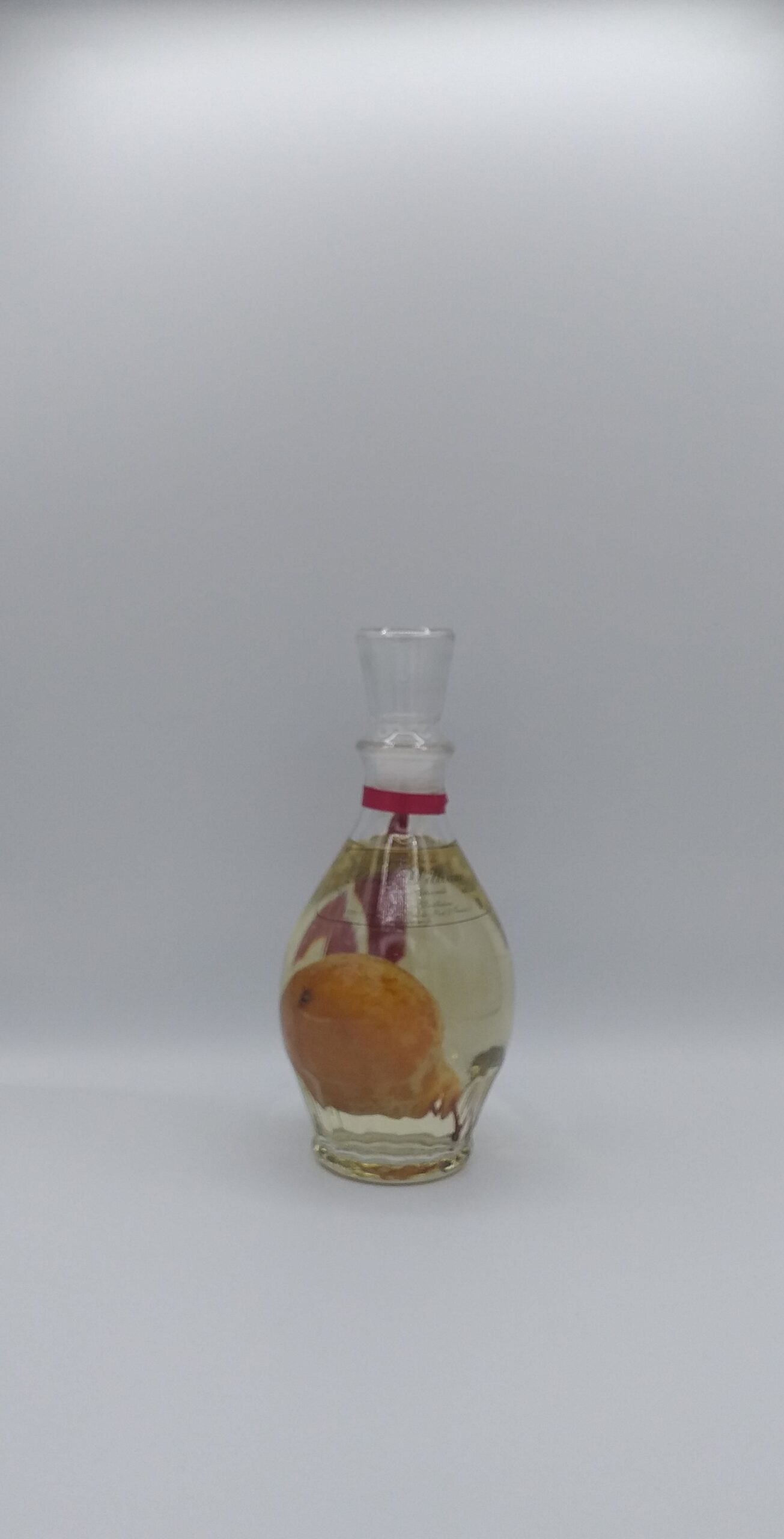 Carafe Eau De Vie De Poire Prisonniere 70 Cl Brana