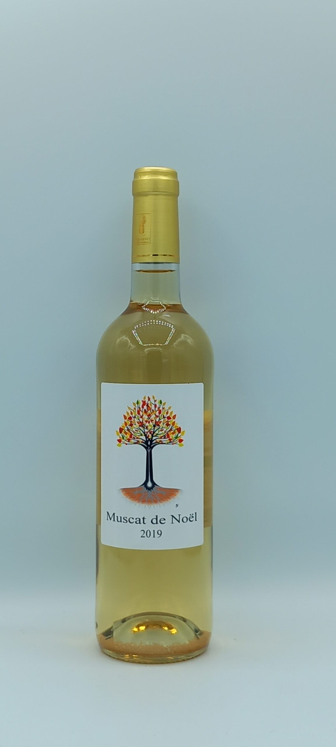 Roussillon Muscat de Noël 2019 Mas Delmas