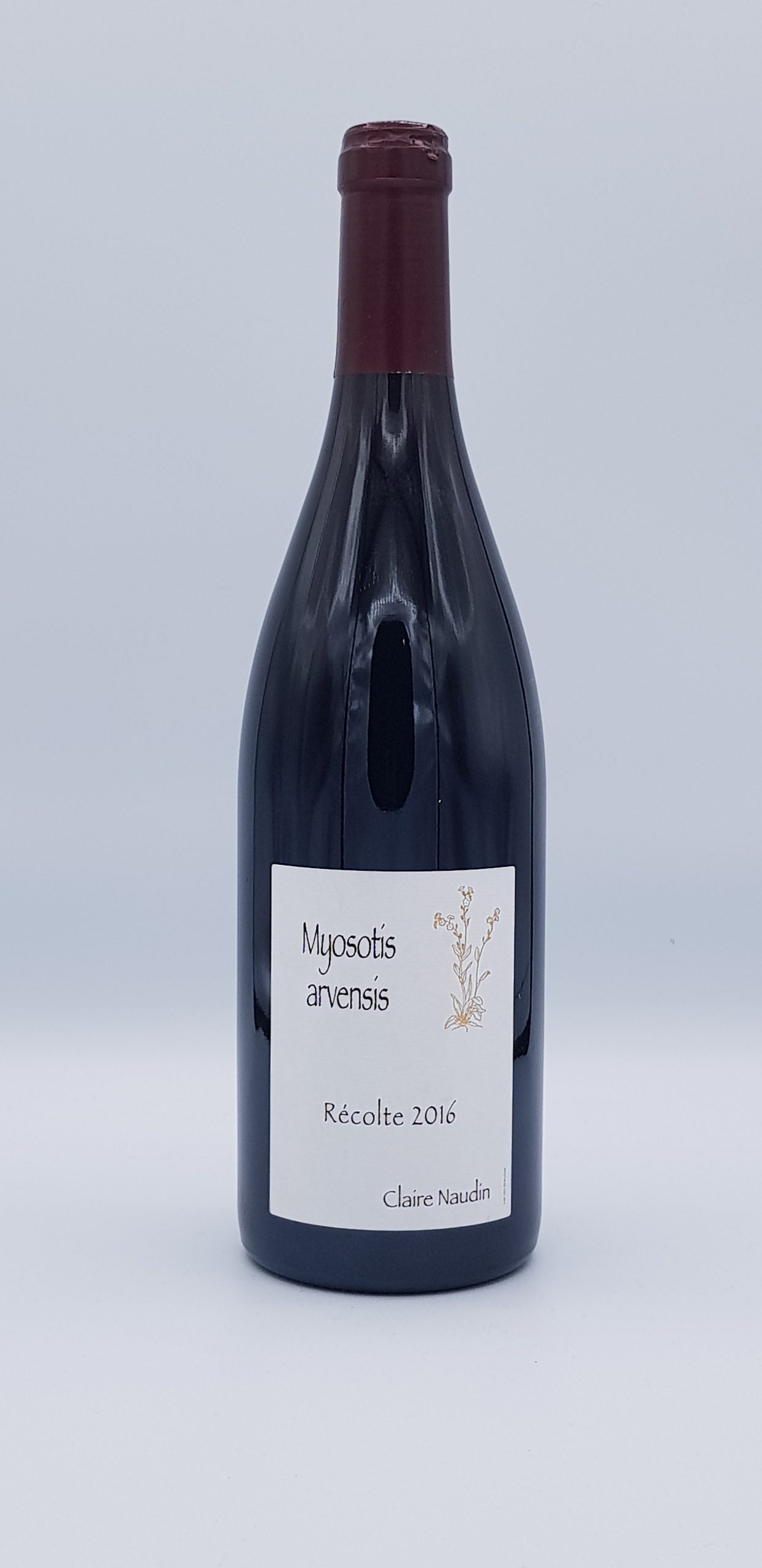 Hautes Cotes de Beaune “Bellis” 2016 Blanc Hautes Cotes de Beaune “Bellis” 2016 Blanc