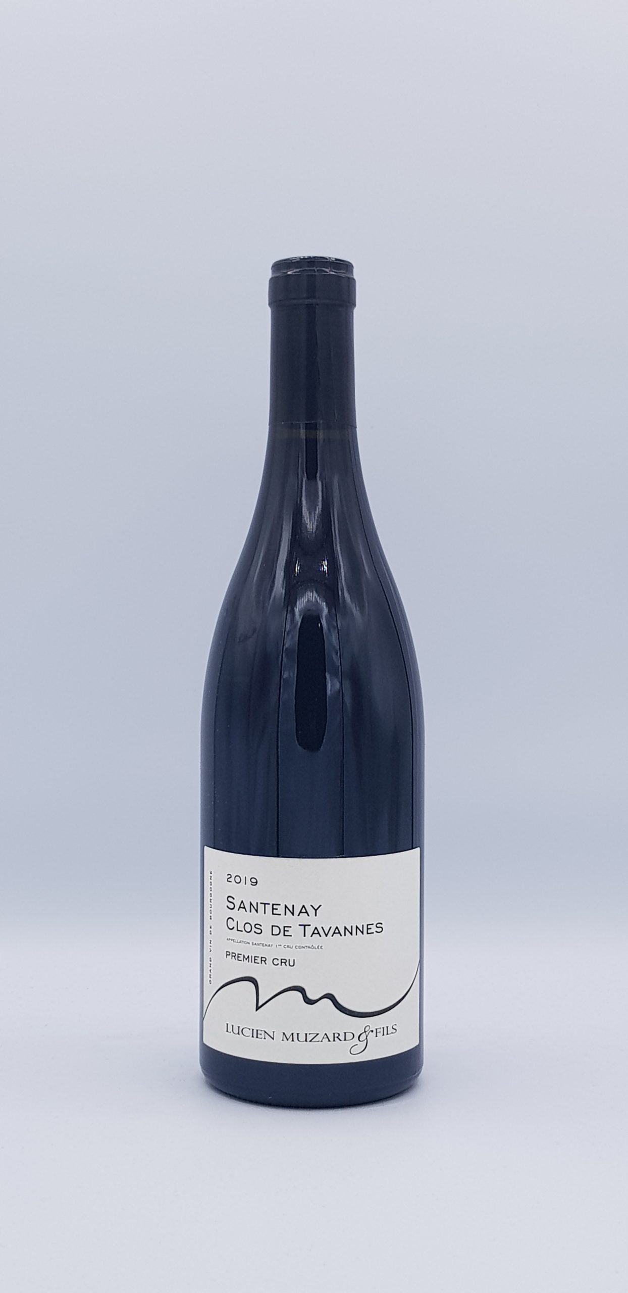Santenay 1er Cru “Clos de Tavannes” 2019 Rouge