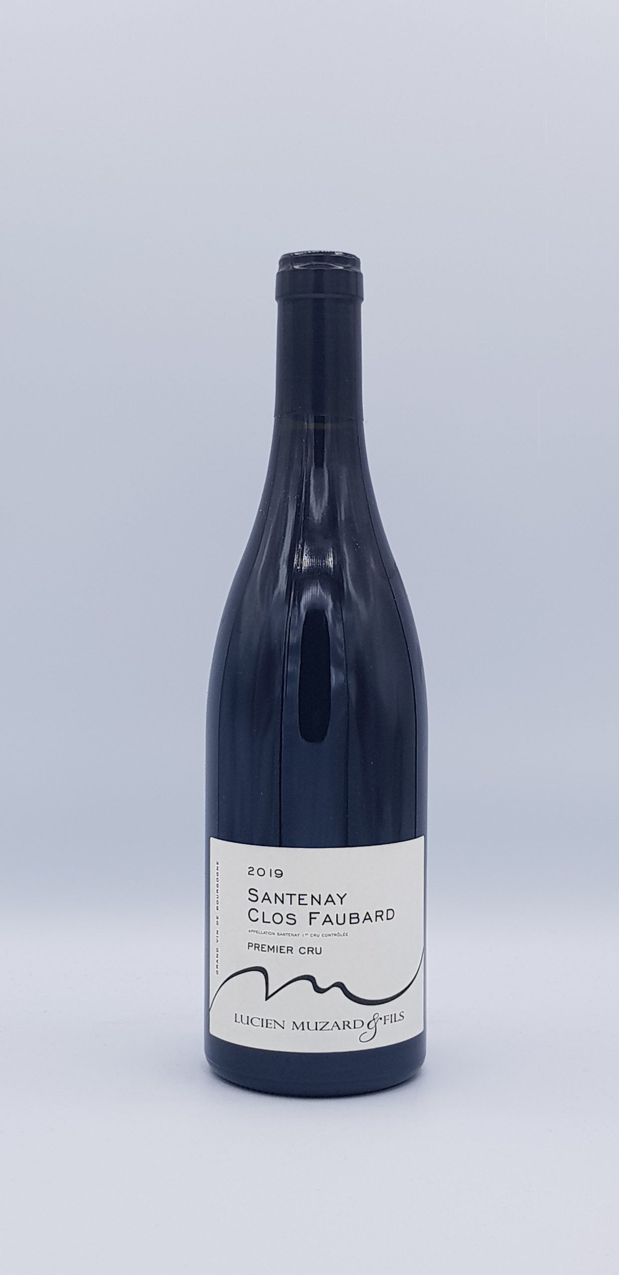 Santenay 1er Cru “Clos Faubard” 2019 Rouge