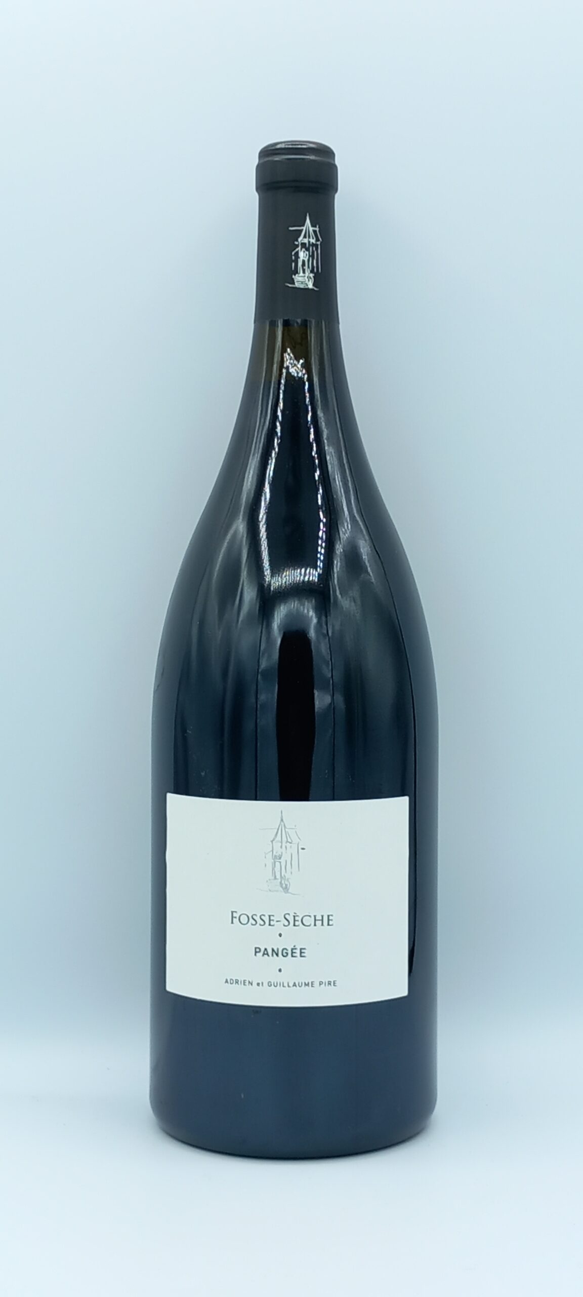 Loire Magnum Pangée 2020 vin biologique- Château de Fosse-Sèche