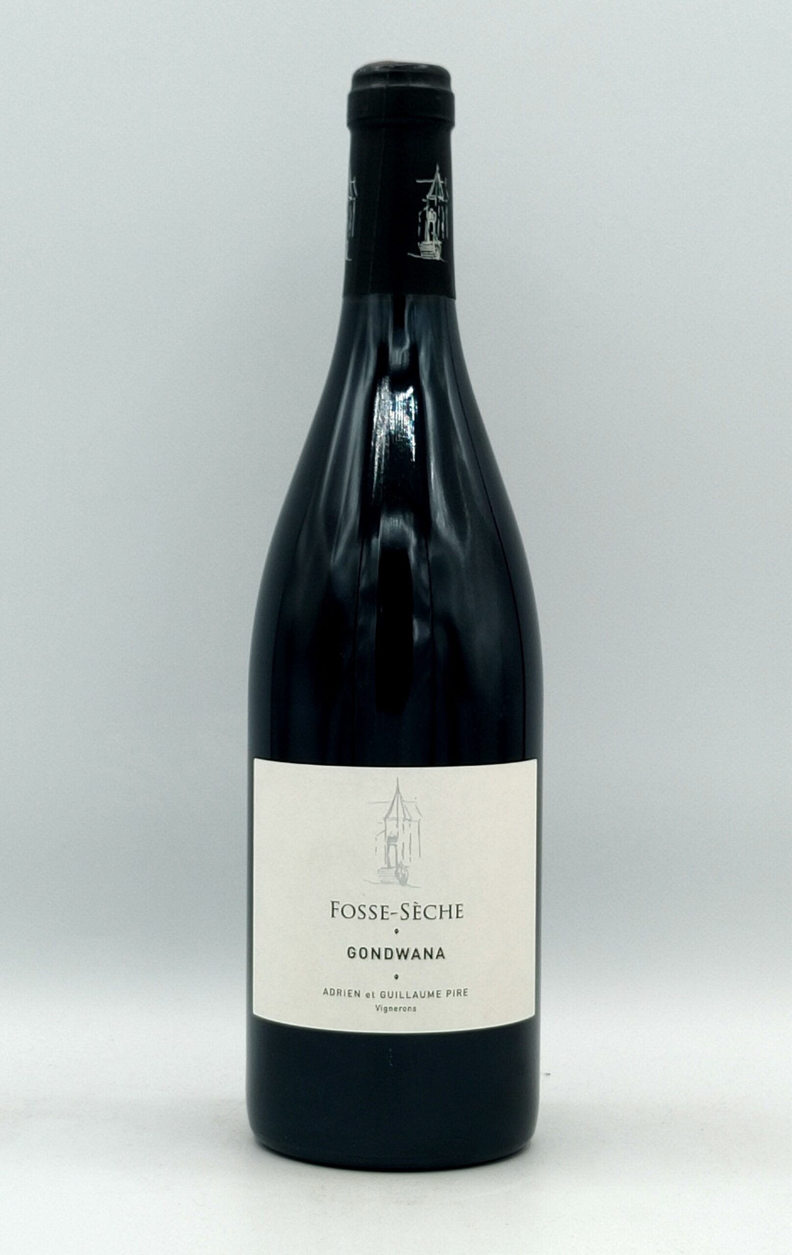 Loire Saumur Gondwana 2018 vin biologique- Château de Fosse-Sèche