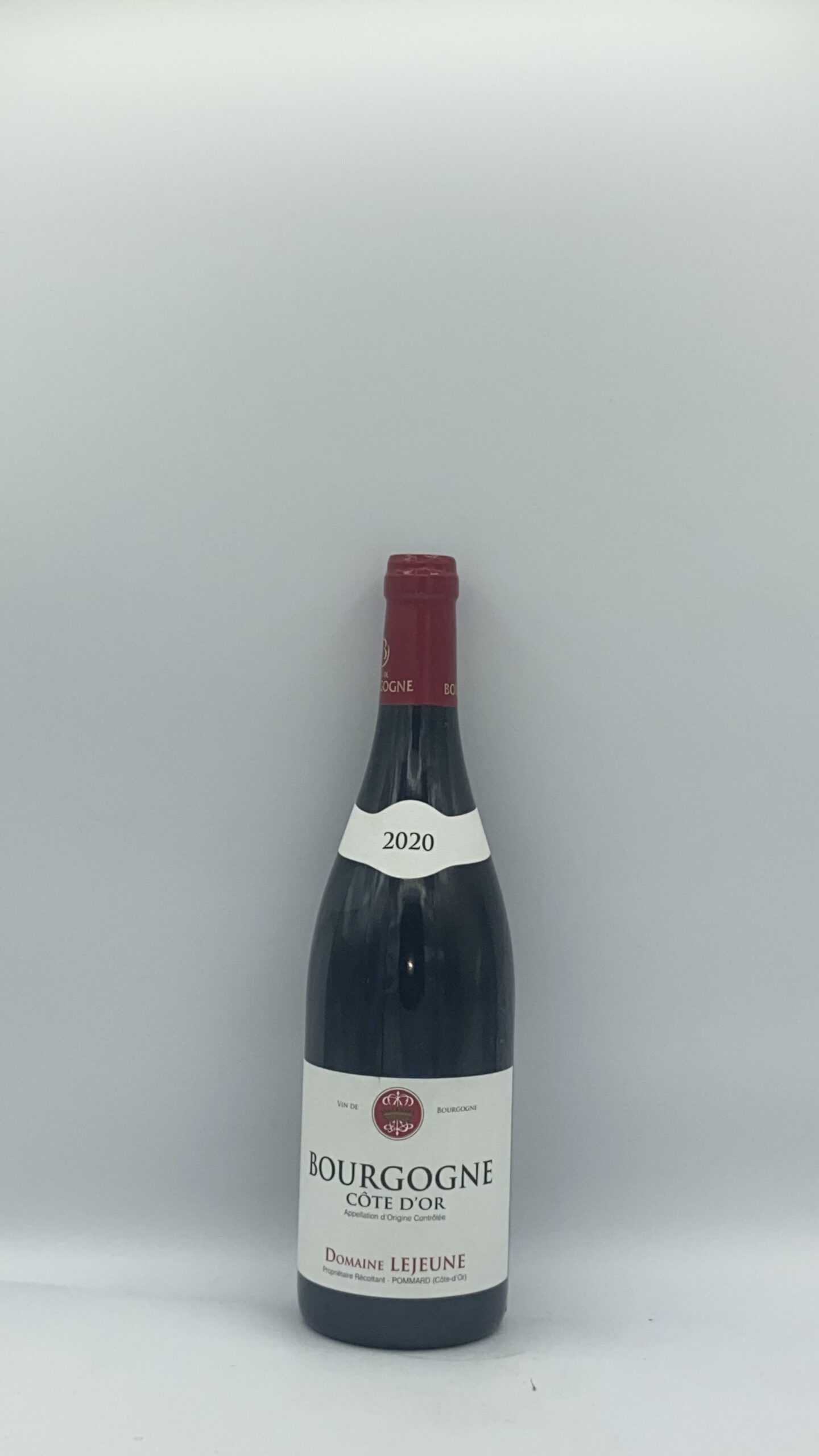 Bourgogne Pinot Noir 2020 Domaine Lejeune