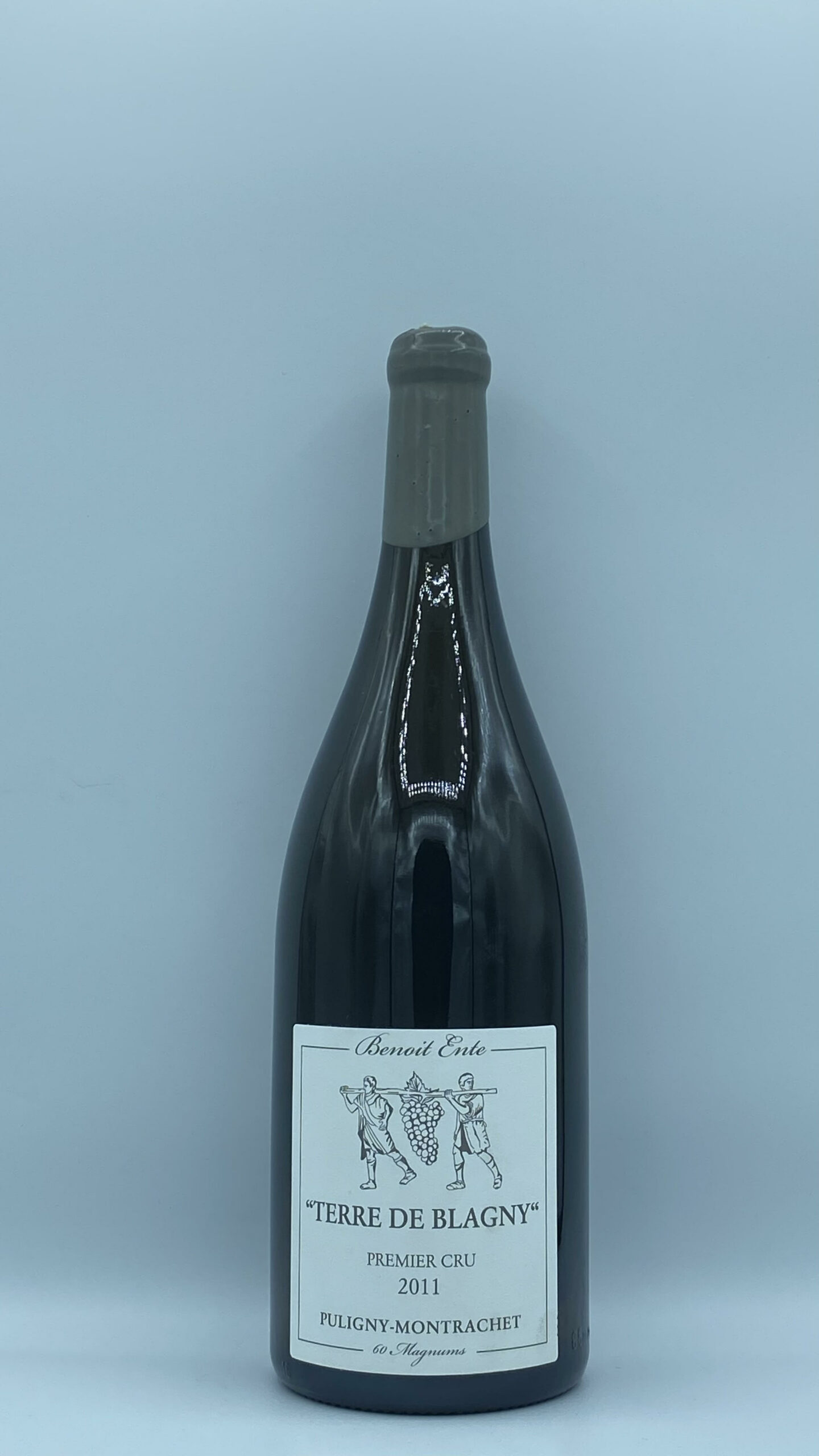 Bourgogne Magnum Puligny-Montrachet 1er cru « Terre de Blagny » 2011 Domaine Ente