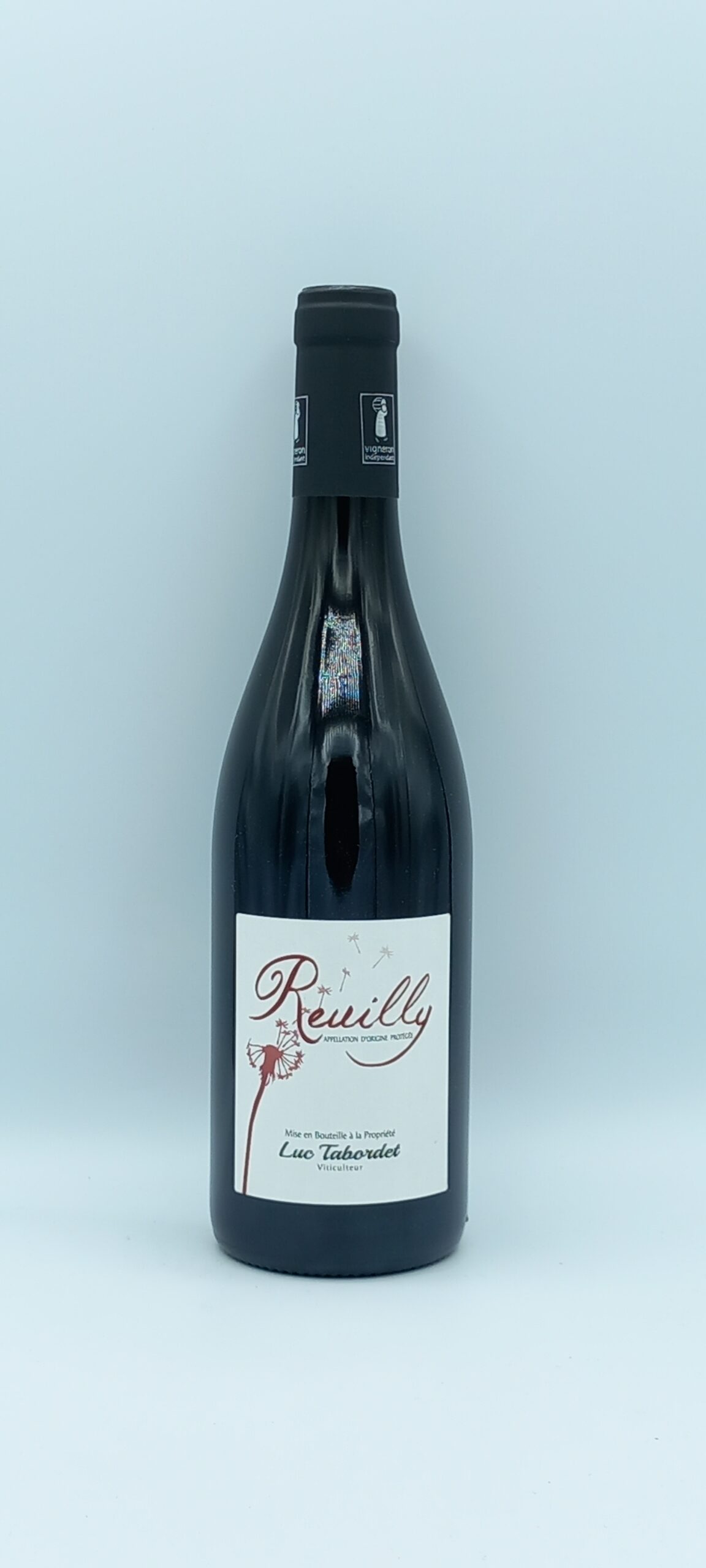Loire Reuilly Bio 2021 Domaine Luc Tabordet