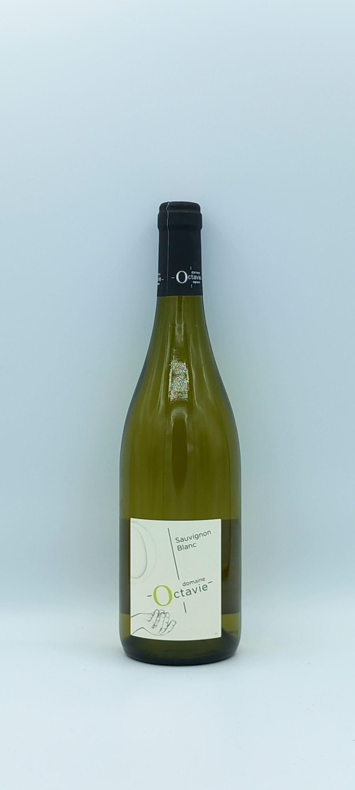 TOURAINE SAUVIGNON 2020 DOMAINE OCTAVIE