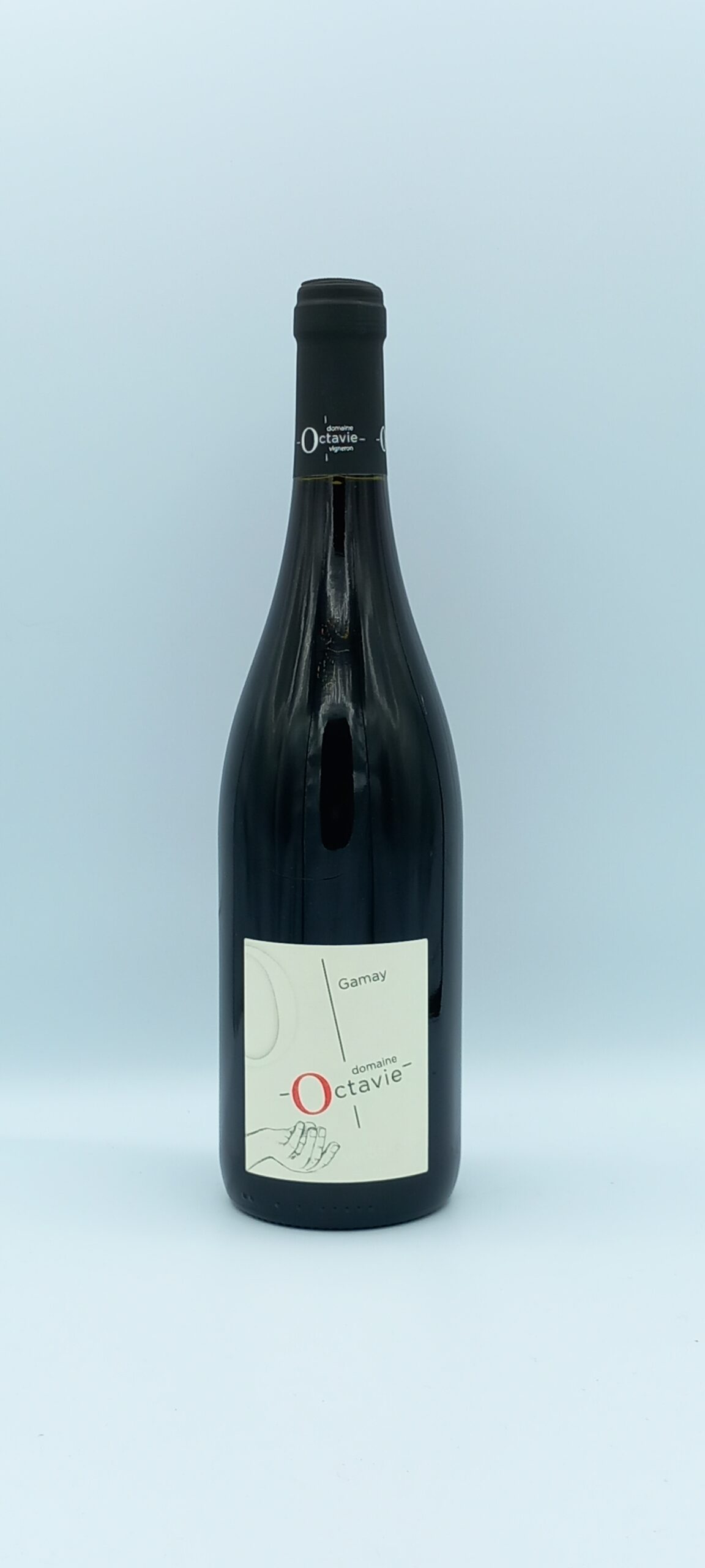 TOURAINE GAMAY 2022 DOMAINE OCTAVIE