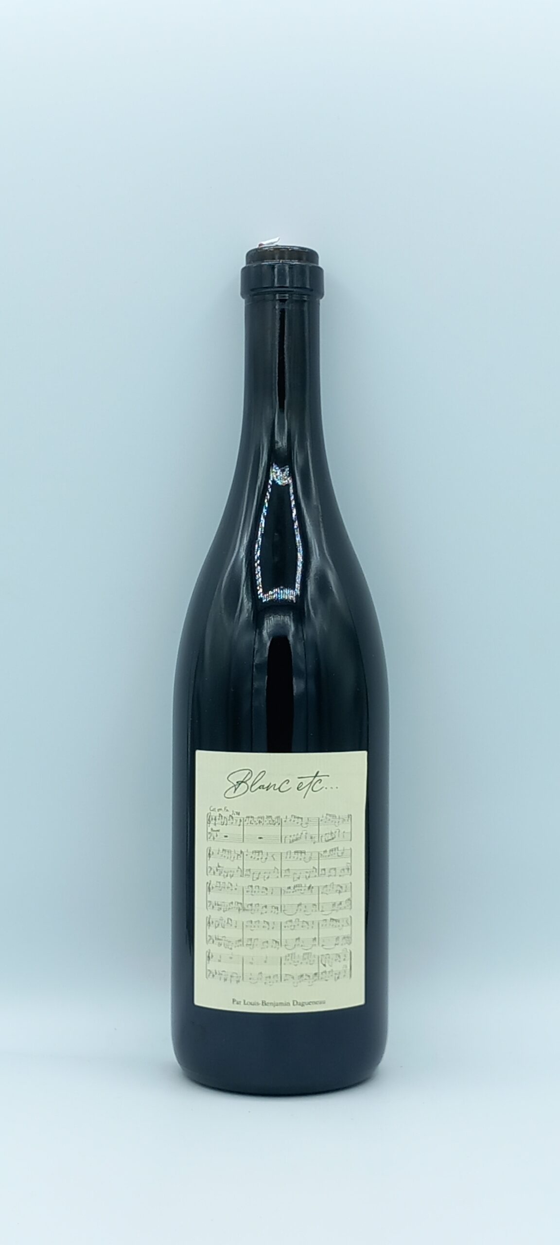 LOIRE VDF BLANC ETC 2020 DOMAINE DAGUENEAU