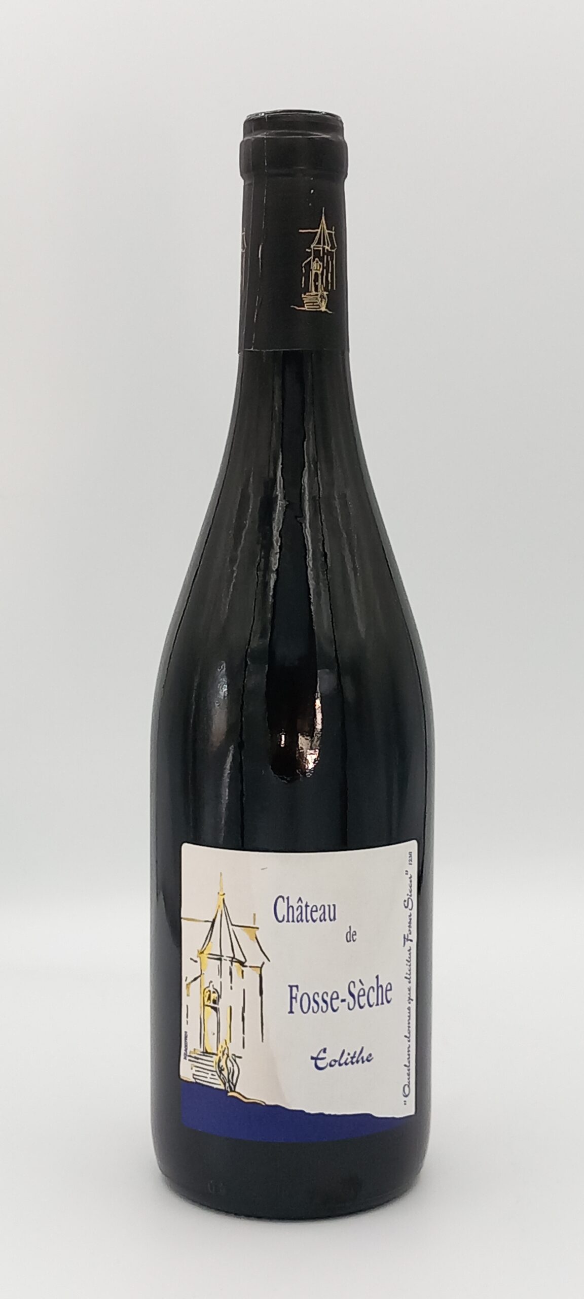 LOIRE SAUMUR EOLITHE 2009 ROUGE CHATEAU DE FOSSE SECHE