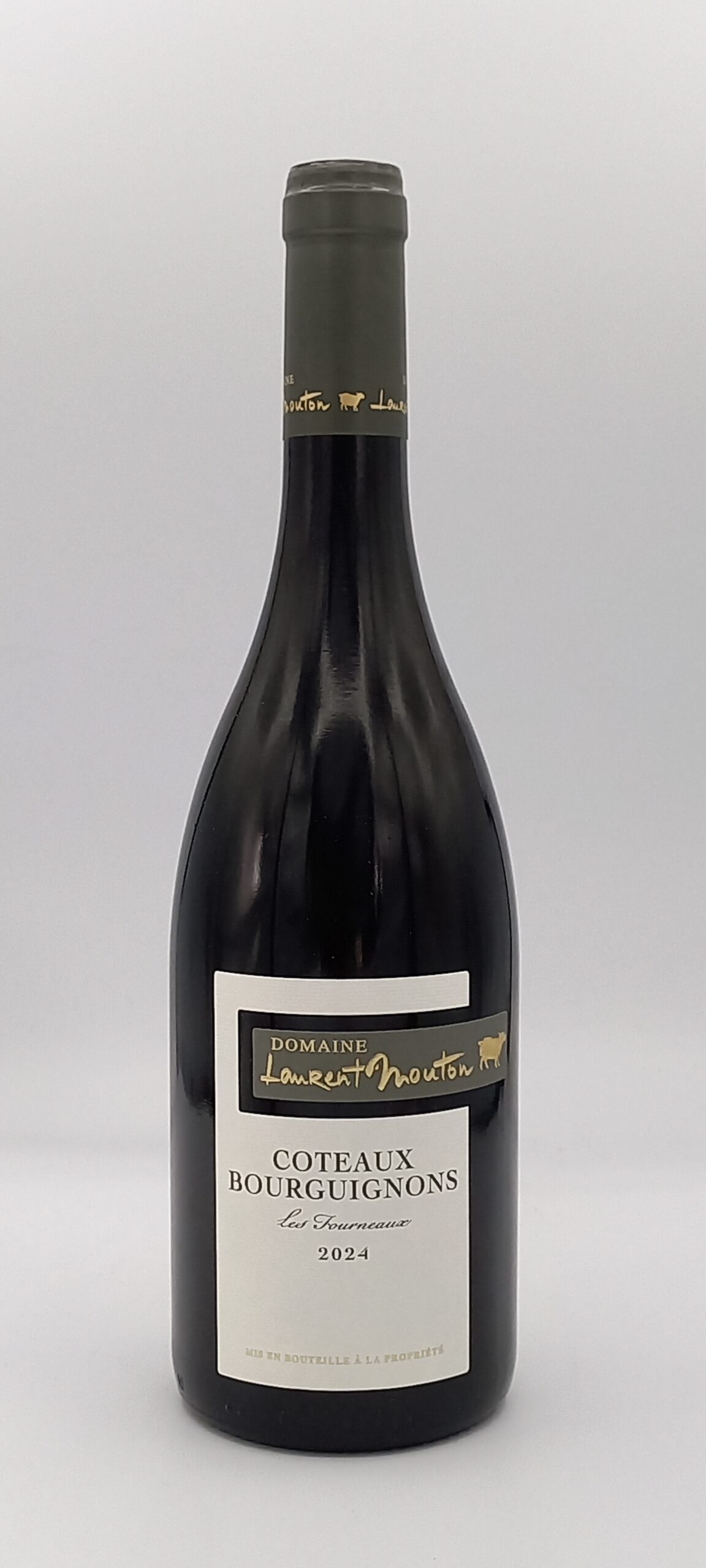 BOURGOGNE COTEAUX BOURGUIGNON 2023 ROUGE DOMAINE MOUTON