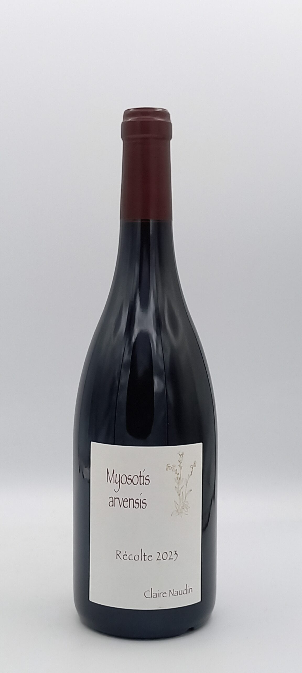 BOURGOGNE HAUTES COTES DE NUITS ROUGE 2023 MYOSOTIS DOMAINE NAUDIN