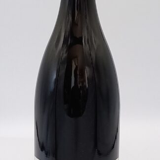 LOIRE BOURGUEIL LE HAUT DE LA BUTTE 2022 DOMAINE DE LA BUTTE