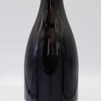 LOIRE BOURGUEIL LE PIED DE LA BUTTE 2023 ROUGE DOMAINE DE LA BUTTE