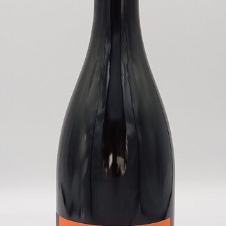 MINERVOIS COTES DU BRIAN COMBETTES 2021 ROUGE GROS-TOLLOT