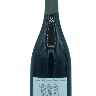 Bourgogne Magnum Puligny-Montrachet 1er cru "Terre de Blagny" 2011 Domaine Ente