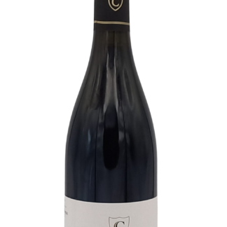 Bourgogne Nuits-Saint-Georges "Aux Allots" 2019 Domaine Chicotot